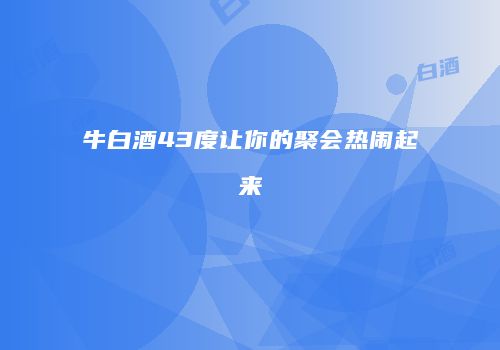 牛白酒43度让你的聚会热闹起来