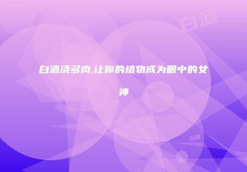 白酒浇多肉,让你的植物成为眼中的女神