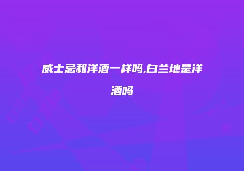 威士忌和洋酒一样吗,白兰地是洋酒吗