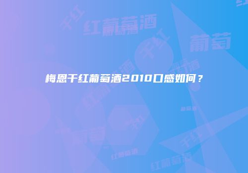 梅恩干红葡萄酒2010口感如何？