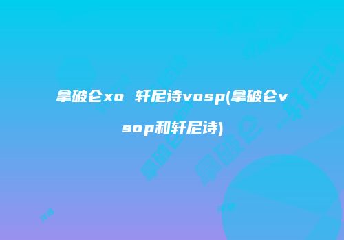 拿破仑xo 轩尼诗vosp(拿破仑vsop和轩尼诗)