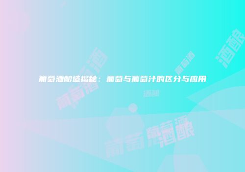 葡萄酒酿造揭秘：葡萄与葡萄汁的区分与应用