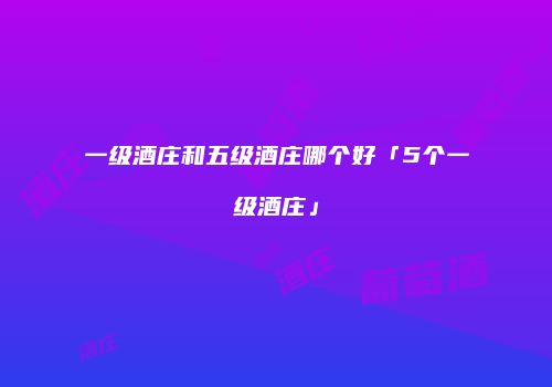 一级酒庄和五级酒庄哪个好「5个一级酒庄」