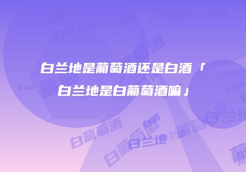 白兰地是葡萄酒还是白酒「白兰地是白葡萄酒嘛」