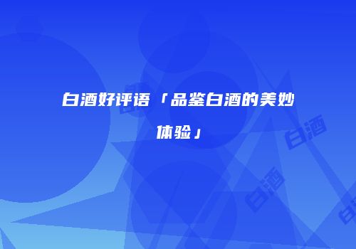 白酒好评语「品鉴白酒的美妙体验」
