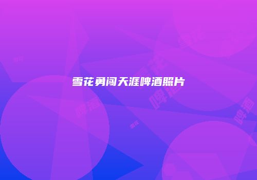 雪花勇闯天涯啤酒照片
