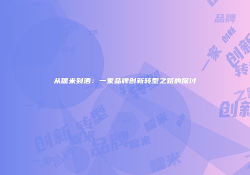 从糯米到酒：一家品牌创新转型之路的探讨