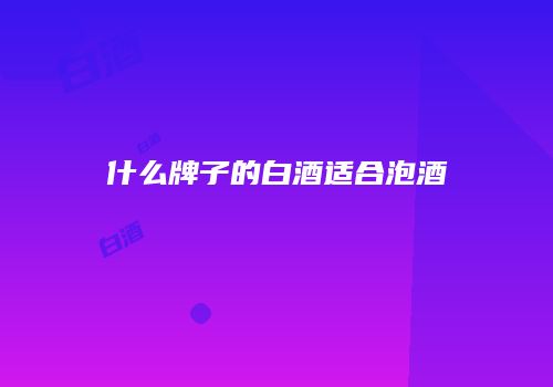 什么牌子的白酒适合泡酒