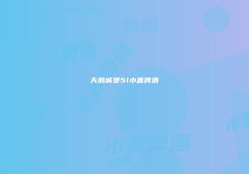 天鹅城堡5l小麦啤酒