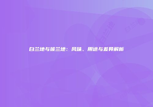 白兰地与拔兰地：风味、用途与差异解析