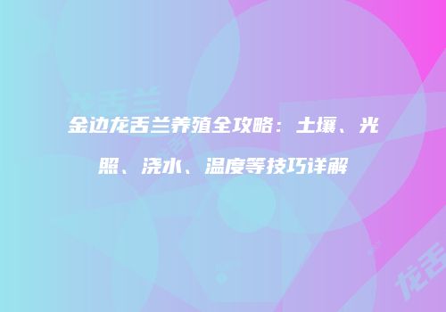 金边龙舌兰养殖全攻略：土壤、光照、浇水、温度等技巧详解