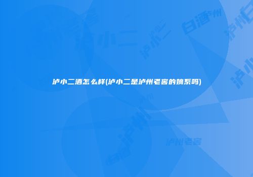 泸小二酒怎么样(泸小二是泸州老窖的嫡系吗)