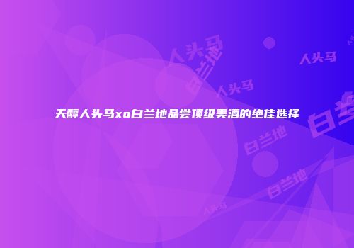 天醇人头马xo白兰地品尝顶级美酒的绝佳选择