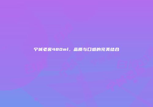 宁城老窖480ml，品质与口感的完美结合