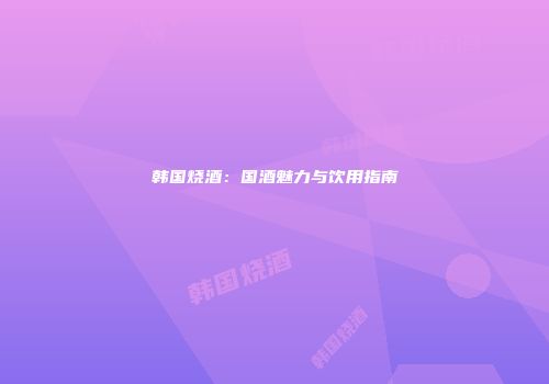 韩国烧酒：国酒魅力与饮用指南