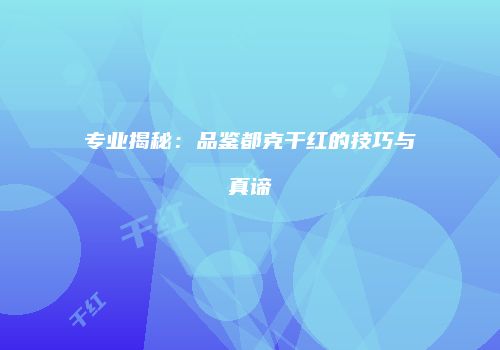 专业揭秘：品鉴都克干红的技巧与真谛