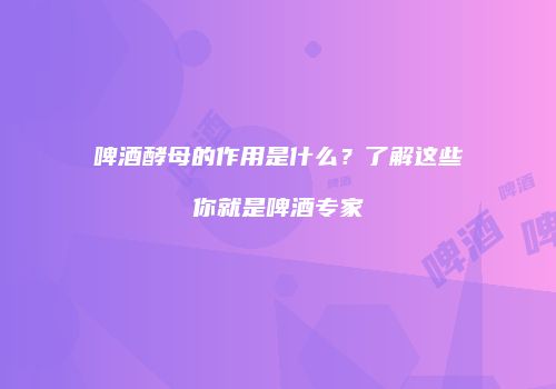 啤酒酵母的作用是什么？了解这些你就是啤酒专家