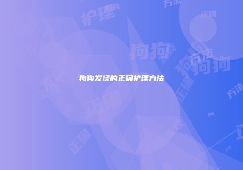 狗狗发烧的正确护理方法
