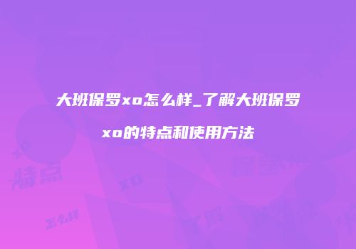 大班保罗xo怎么样_了解大班保罗xo的特点和使用方法
