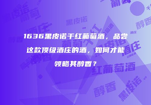 1636黑皮诺干红葡萄酒，品尝这款顶级酒庄的酒，如何才能领略其醇香？