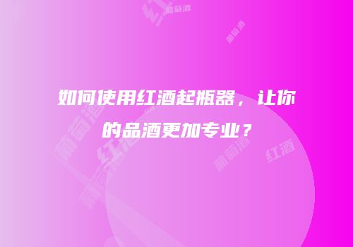 如何使用红酒起瓶器，让你的品酒更加专业？