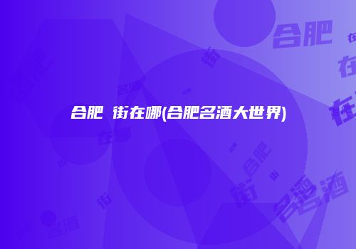 合肥罍街在哪(合肥名酒大世界)