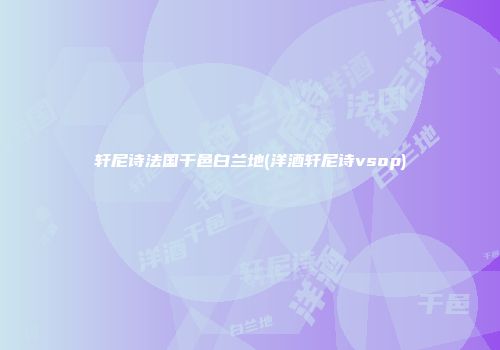 轩尼诗法国干邑白兰地(洋酒轩尼诗vsop)