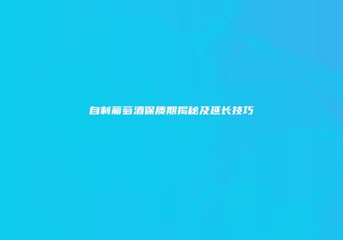 自制葡萄酒保质期揭秘及延长技巧