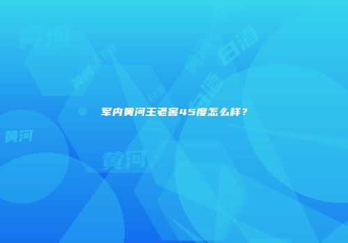 军内黄河王老窖45度怎么样？