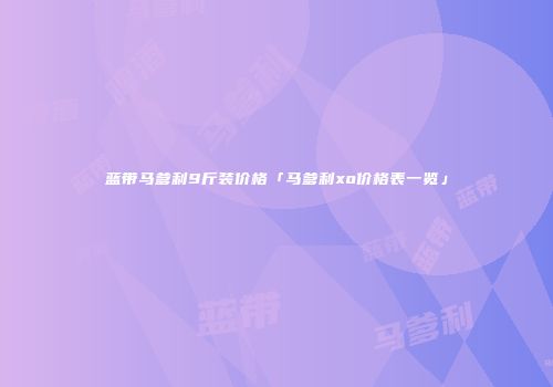 蓝带马爹利9斤装价格「马爹利xo价格表一览」