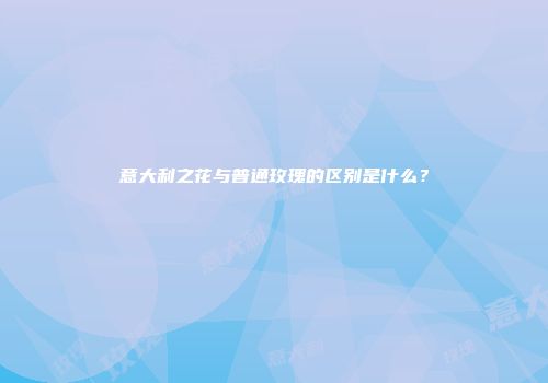 意大利之花与普通玫瑰的区别是什么？