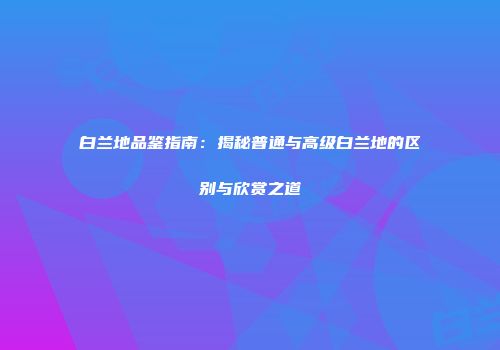 白兰地品鉴指南：揭秘普通与高级白兰地的区别与欣赏之道
