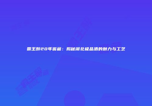 霸王醉20年窖藏：揭秘湖北极品酒的魅力与工艺
