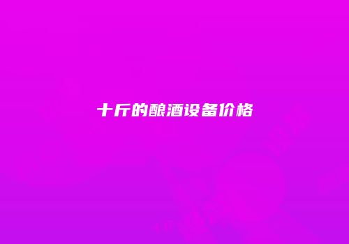 十斤的酿酒设备价格