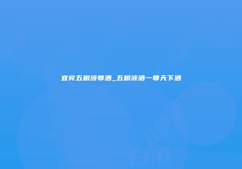 宜宾五粮液尊酒_五粮液酒一尊天下酒