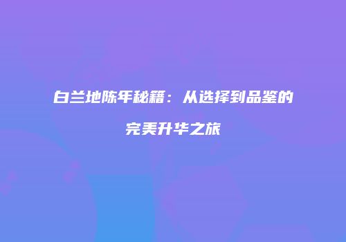 白兰地陈年秘籍：从选择到品鉴的完美升华之旅