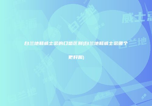 白兰地和威士忌的口感区别(白兰地和威士忌哪个更好喝)