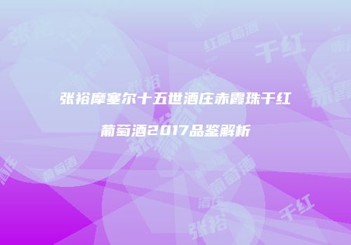 张裕摩塞尔十五世酒庄赤霞珠干红葡萄酒2017品鉴解析