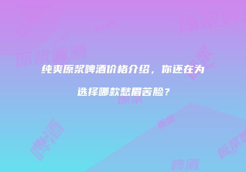 纯爽原浆啤酒价格介绍，你还在为选择哪款愁眉苦脸？