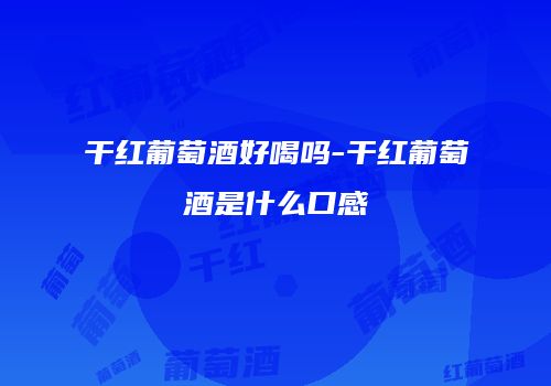 干红葡萄酒好喝吗-干红葡萄酒是什么口感
