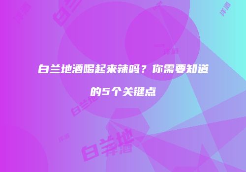 白兰地酒喝起来辣吗？你需要知道的5个关键点