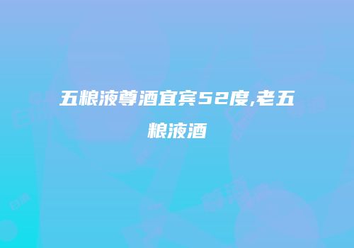 五粮液尊酒宜宾52度,老五粮液酒