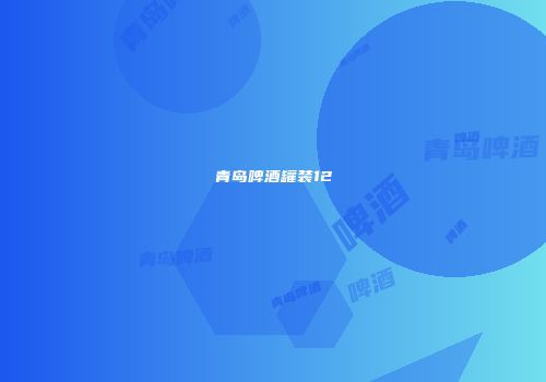 青岛啤酒罐装12