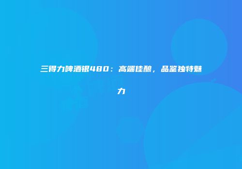 三得力啤酒银480：高端佳酿，品鉴独特魅力
