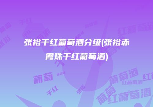 张裕干红葡萄酒分级(张裕赤霞珠干红葡萄酒)