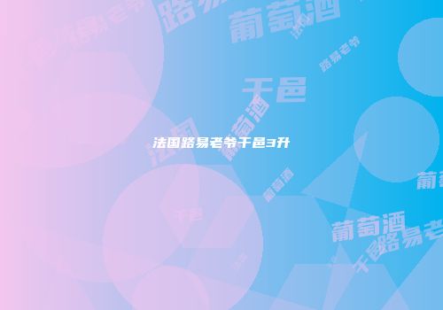 法国路易老爷干邑3升