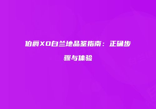 伯爵XO白兰地品鉴指南：正确步骤与体验