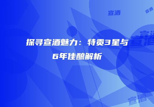 探寻宣酒魅力：特贡3星与6年佳酿解析