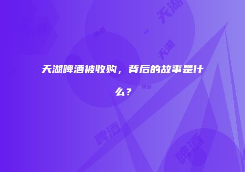 天湖啤酒被收购，背后的故事是什么？