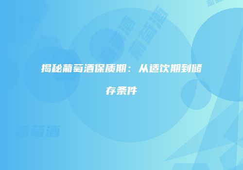 揭秘葡萄酒保质期：从适饮期到储存条件